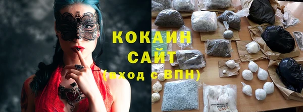 МДПВ Алзамай